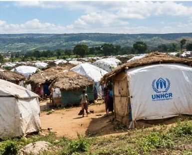 Syria refugee response